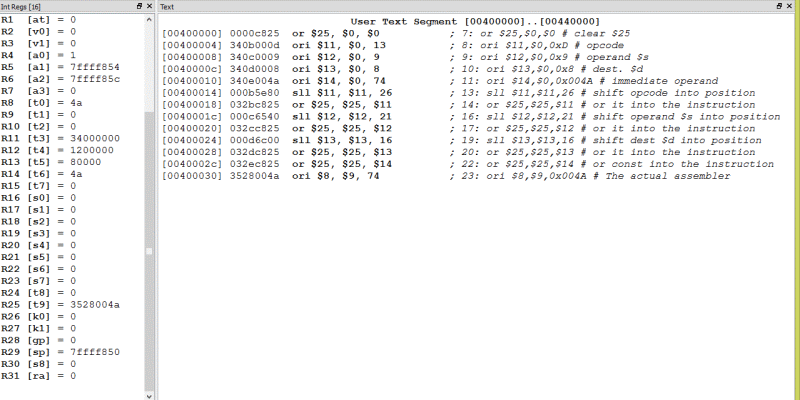 SPIM display of program