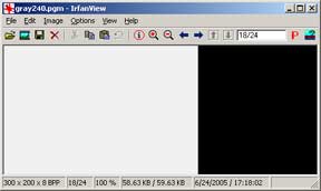 gray level image