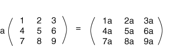 scalar times matrix