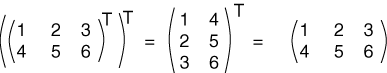 Transposed Transposed Matrix